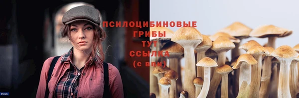 сатива Абаза