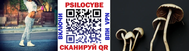 мега как войти  Красково  Галлюциногенные грибы мухоморы 